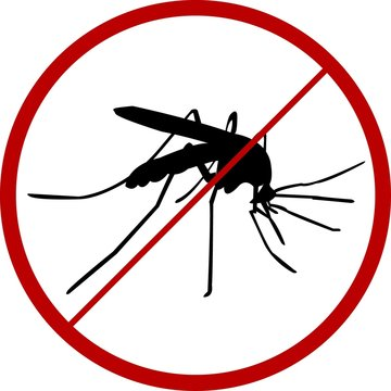 Disinfestazione ambientale contro zanzare